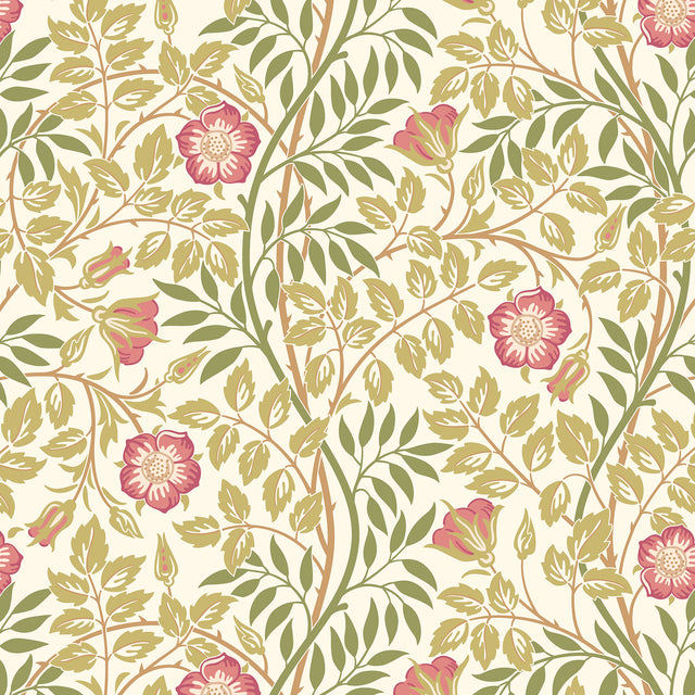 Eade’s Rose Pink