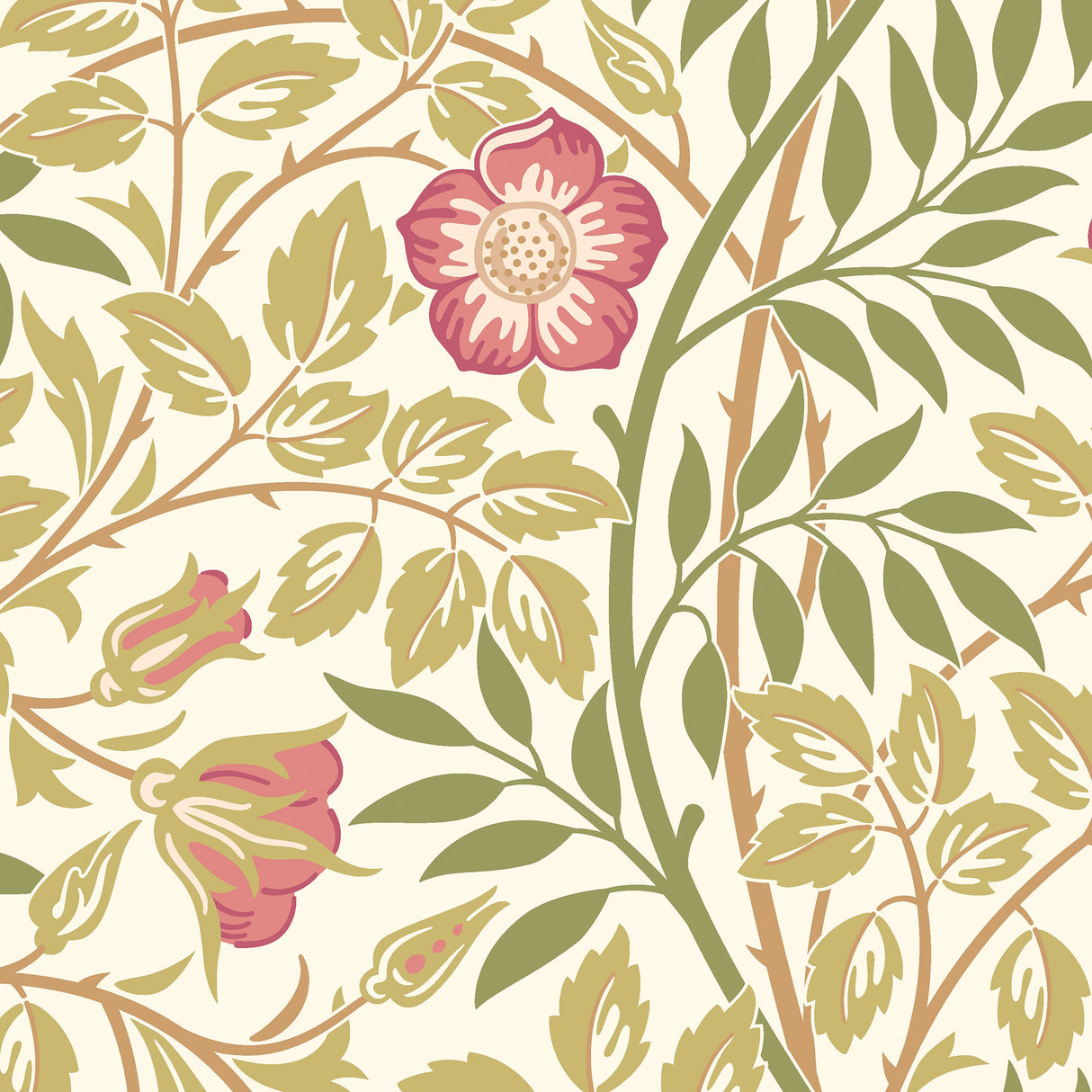 Eade’s Rose Pink