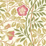 Eade’s Rose Pink
