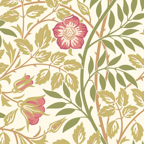 Eade’s Rose Pink