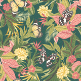 Eade’s Forest Mix