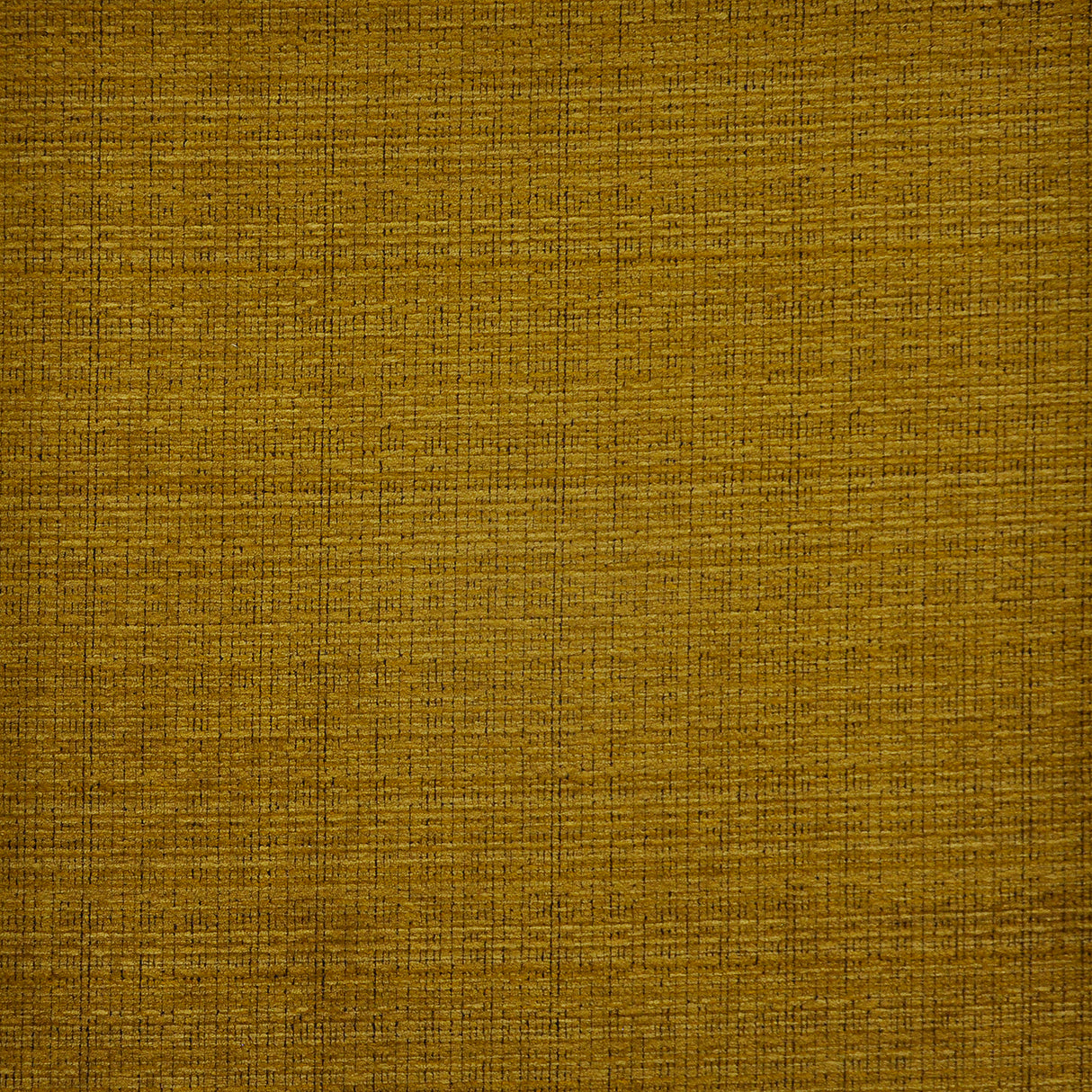 Eade’s # 822 GOLD