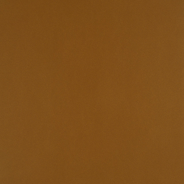 Eade’s # 729 BUTTERSCOTCH