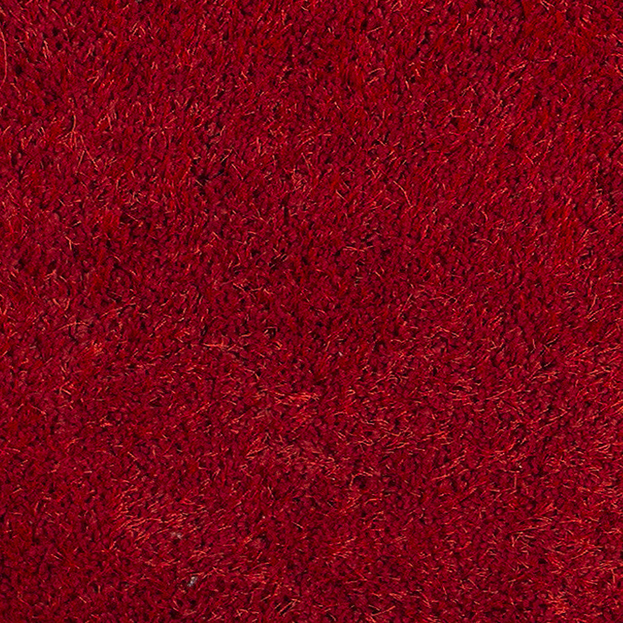 Amer Rugs ILT-1 Illustrations Contemporary Area Rug