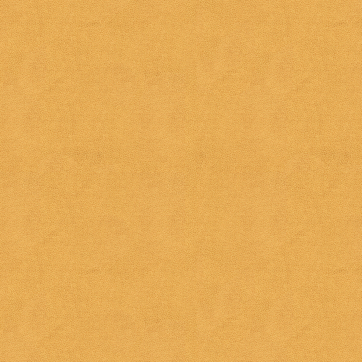 KRAVET COUTURE IMPACT.116.0 IMPACT SAND Fabric - Eade's Wallpaper