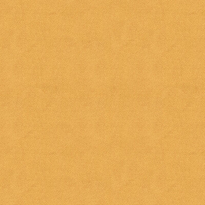 KRAVET COUTURE IMPACT.116.0 IMPACT SAND Fabric - Eade's Wallpaper