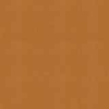 KRAVET COUTURE IMPACT.16.0 IMPACT CARAMEL Fabric - Eade's Wallpaper