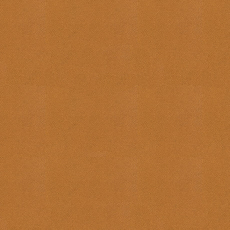 KRAVET COUTURE IMPACT.16.0 IMPACT CARAMEL Fabric - Eade's Wallpaper