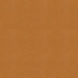 KRAVET COUTURE IMPACT.16.0 IMPACT CARAMEL Fabric - Eade's Wallpaper