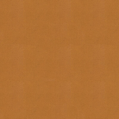 KRAVET COUTURE IMPACT.16.0 IMPACT CARAMEL Fabric - Eade's Wallpaper