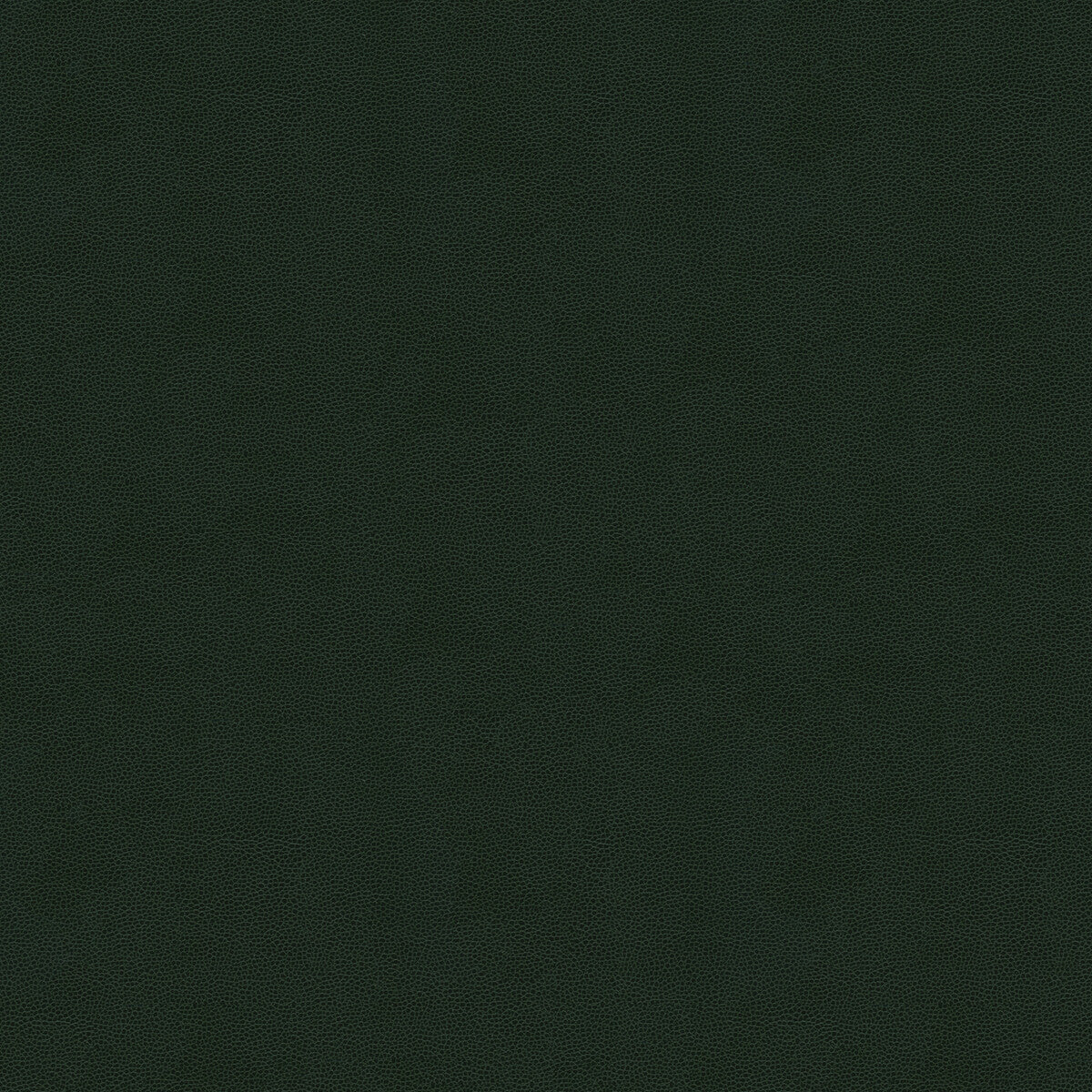 KRAVET COUTURE IMPACT.3.0 IMPACT FOREST Fabric - Eade's Wallpaper
