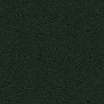 KRAVET COUTURE IMPACT.3.0 IMPACT FOREST Fabric - Eade's Wallpaper