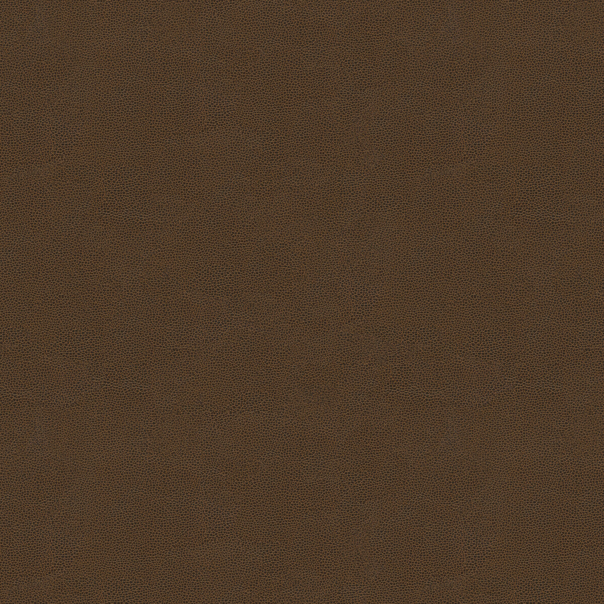 KRAVET COUTURE IMPACT.6.0 IMPACT ESPRESSO Fabric - Eade's Wallpaper