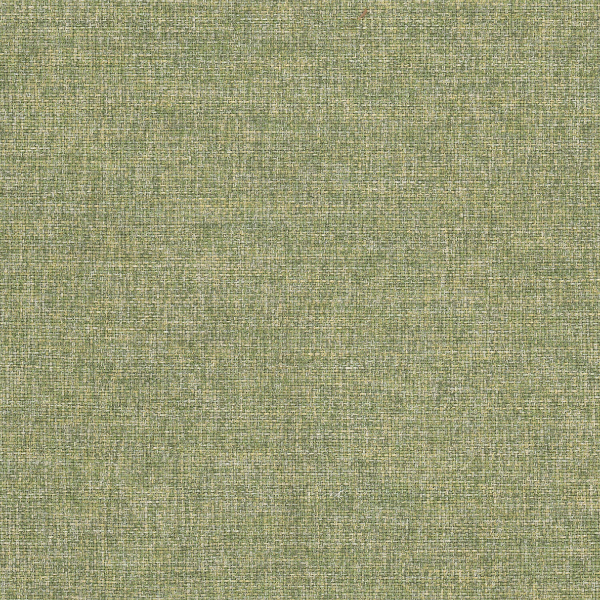 STOUT IMPE-3 IMPERIAL 3 SPRING Fabric - Eades Wallpaper & Fabric