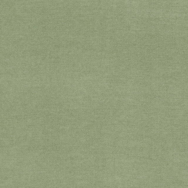 Eade's INEV-1-sample CELADON