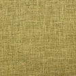 Eade’s INNES KIWI KIWI