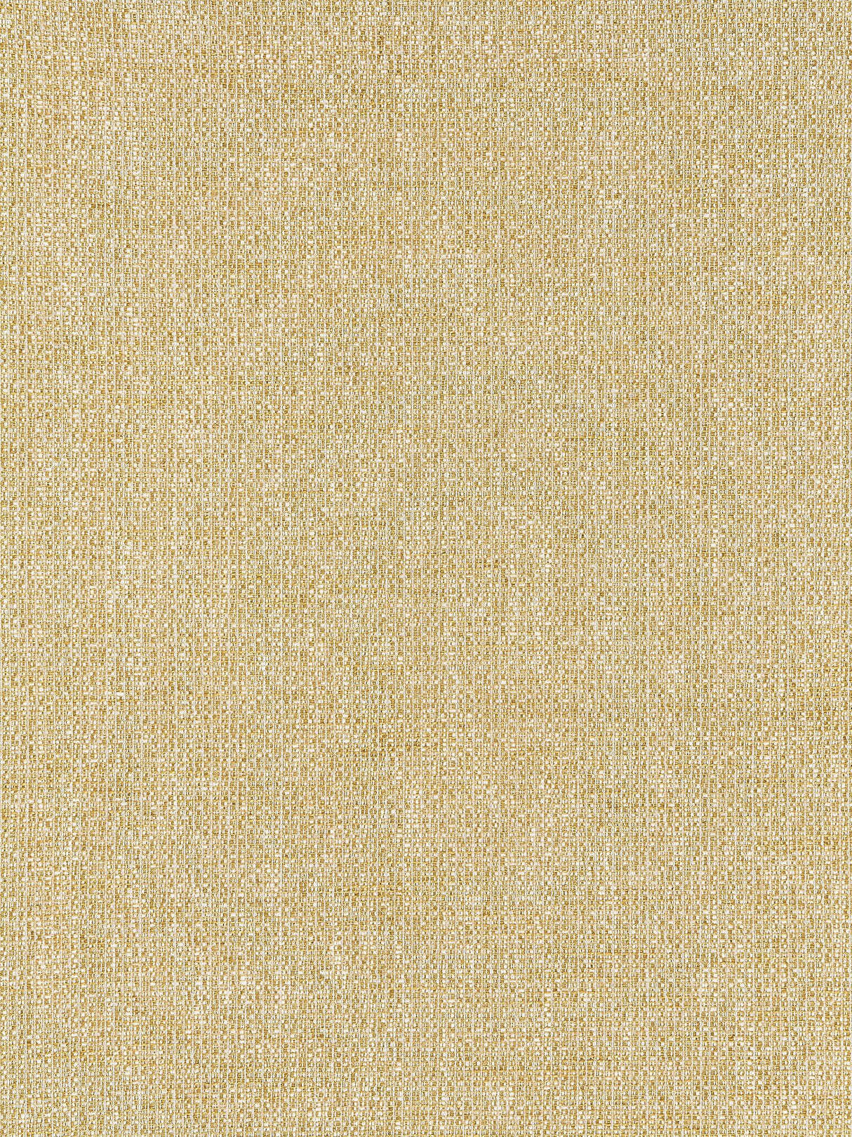 Scalamandre IO 0003109D GOLD FLINT Fabric