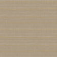 IT32433 Beige - Eade’s