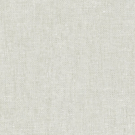 IT32461 Silver Grey - Eade’s