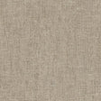 IT32469 Silver Grey - Eade’s