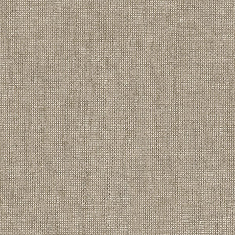 IT32469 Silver Grey - Eade’s