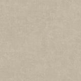 IT32471 Beige - Eade’s