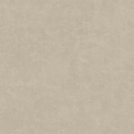 IT32471 Beige - Eade’s