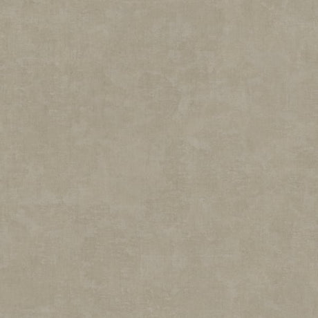 IT32473 Beige - Eade’s