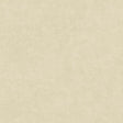IT32480 Beige - Eade’s
