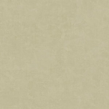 IT32482 Beige - Eade’s