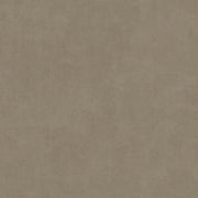 IT32483 Beige - Eade’s