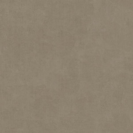 IT32483 Beige - Eade’s