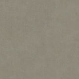 IT32485 Beige - Eade’s