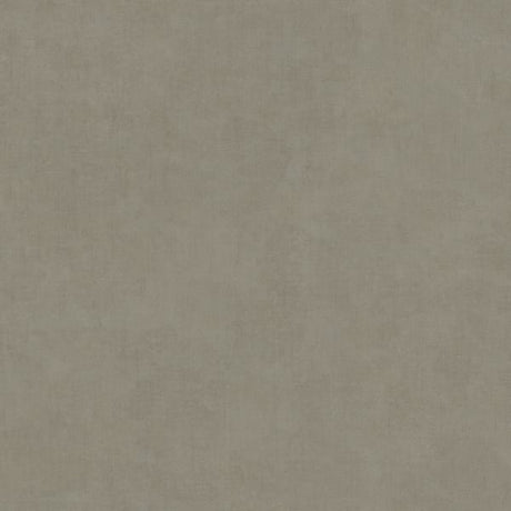 IT32485 Beige - Eade’s