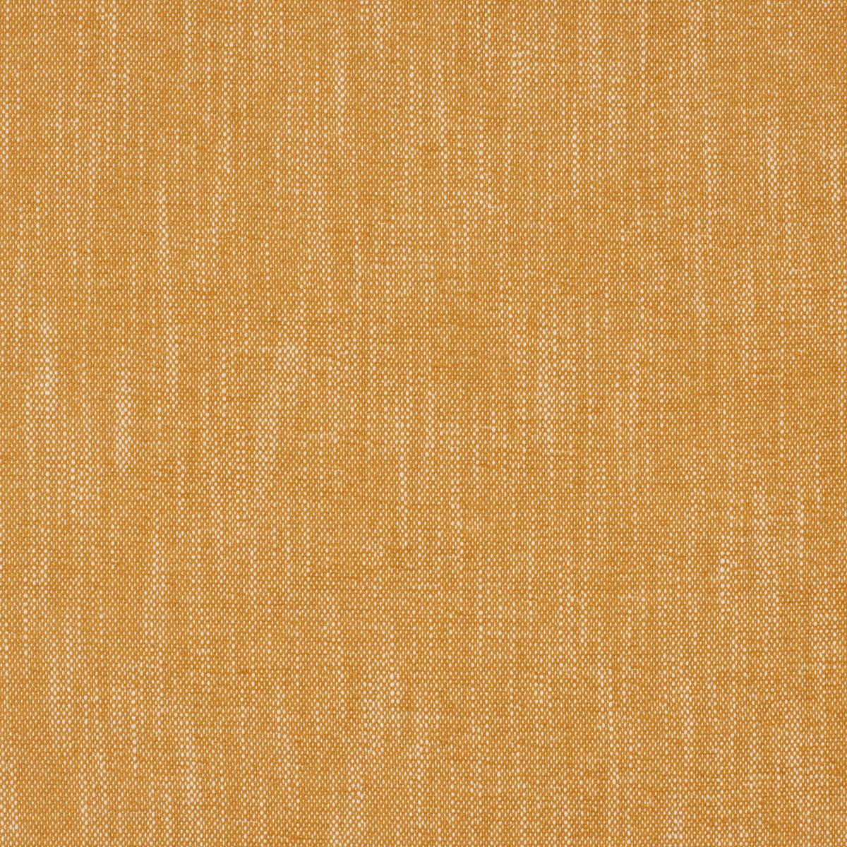 Eade’s InsideOut LOLLY GOLD GOLD