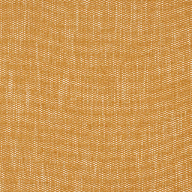 Eade’s InsideOut LOLLY GOLD GOLD