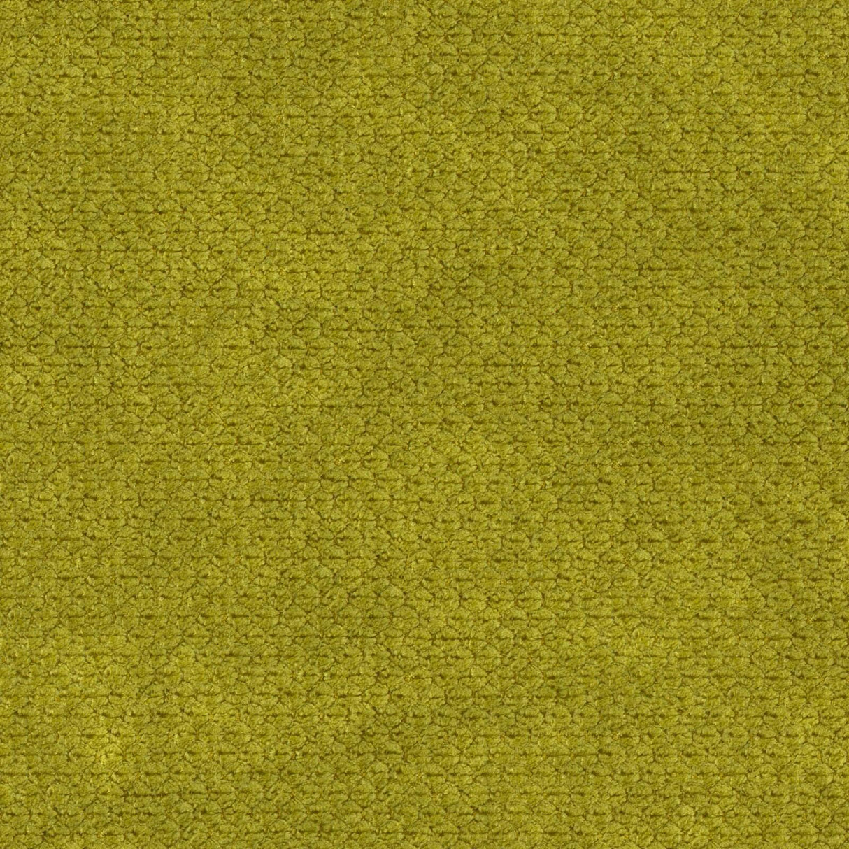 Eade’s # 539 AVOCADO