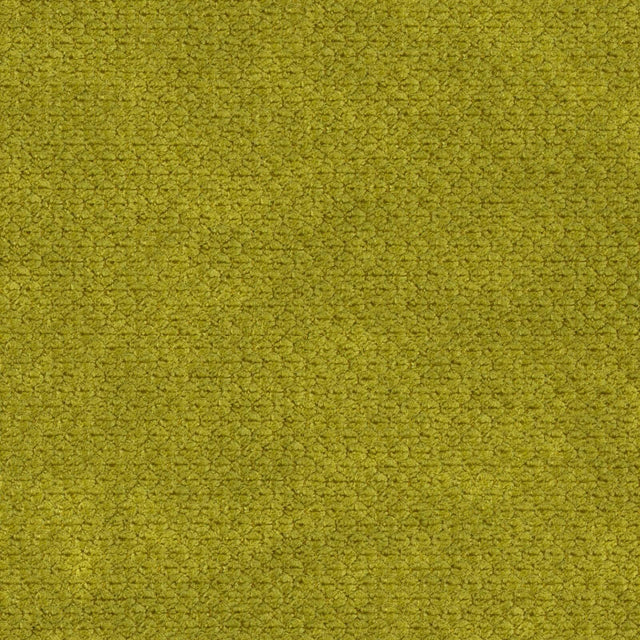 Eade’s # 539 AVOCADO