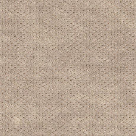 Eade’s # 719 KANGAROO