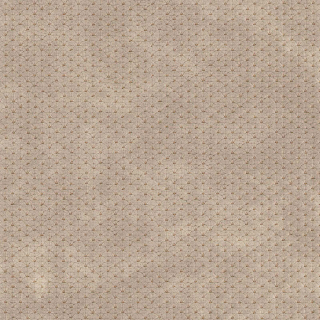 Eade’s # 719 KANGAROO