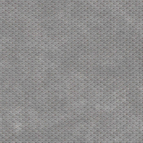 Eade’s # 744 SHARK