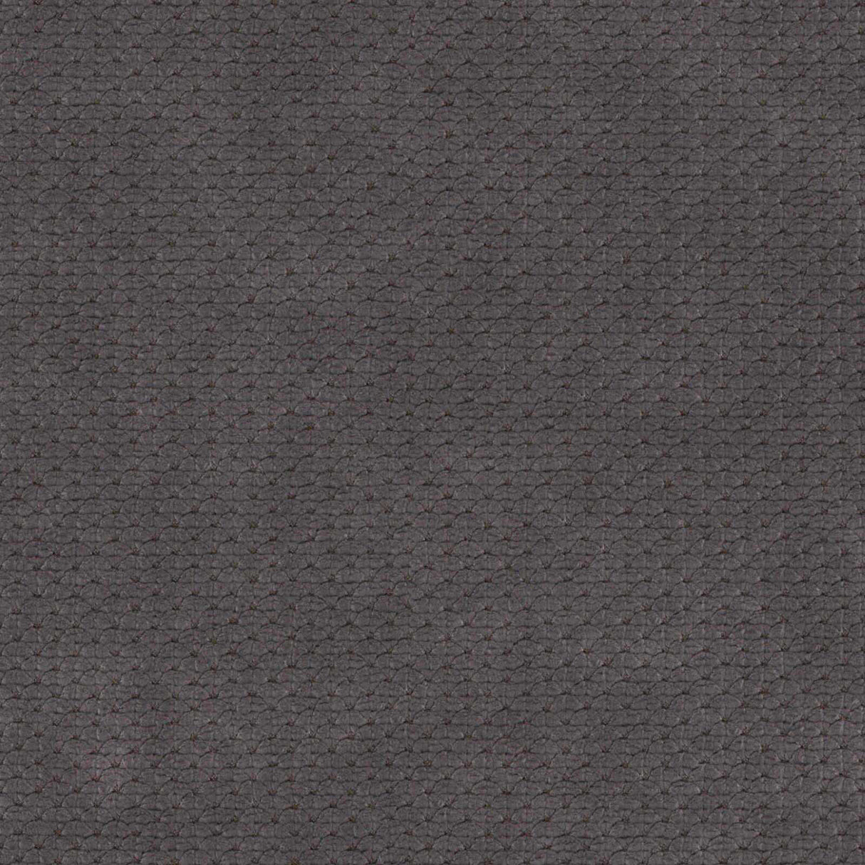 Eade’s # 758 BELUGA