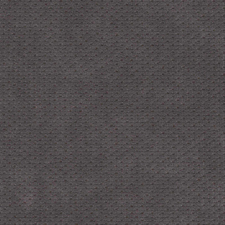 Eade’s # 758 BELUGA