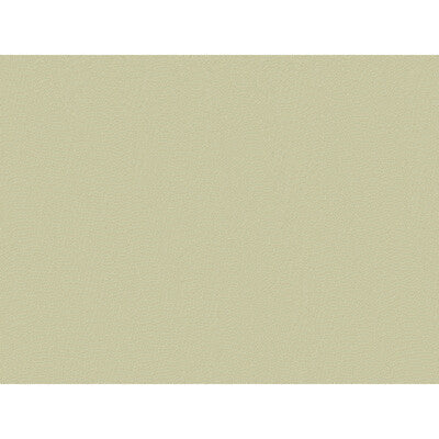 BRUNSCHWIG & FILS JAG-50001.111.0 JOUR PEWTER Fabric - Eade's Wallpaper