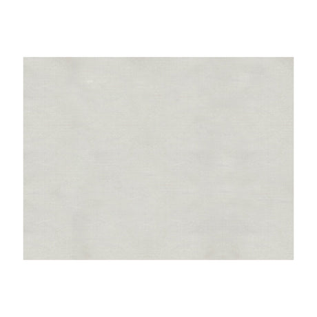 BRUNSCHWIG & FILS JAG-50002.1016.0 SUKHOTHAI PEWTER Fabric - Eade's Wallpaper