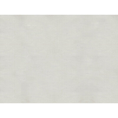 BRUNSCHWIG & FILS JAG-50002.1016.0 SUKHOTHAI PEWTER Fabric - Eade's Wallpaper