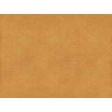 BRUNSCHWIG & FILS JAG-50002.126.0 SUKHOTHAI APRICOT Fabric - Eade's Wallpaper