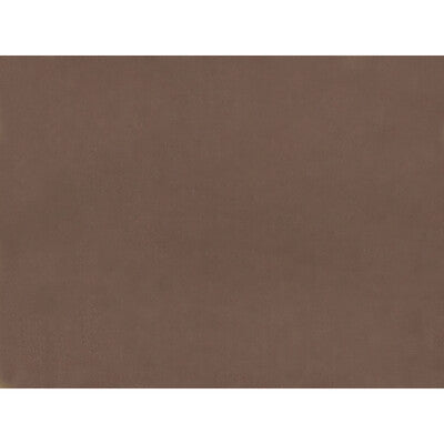 BRUNSCHWIG & FILS JAG-50002.1616.0 SUKHOTHAI BROWNIE Fabric - Eade's Wallpaper