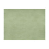 BRUNSCHWIG & FILS JAG-50002.23.0 SUKHOTHAI CELADON GREEN Fabric - Eade's Wallpaper