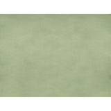 BRUNSCHWIG & FILS JAG-50002.23.0 SUKHOTHAI CELADON GREEN Fabric - Eade's Wallpaper
